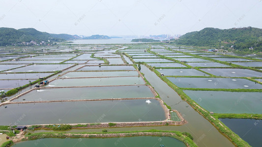 航拍视角下的淡水养殖全景 从大闸蟹到鲟鱼，探秘千湖之色的生态渔业基地