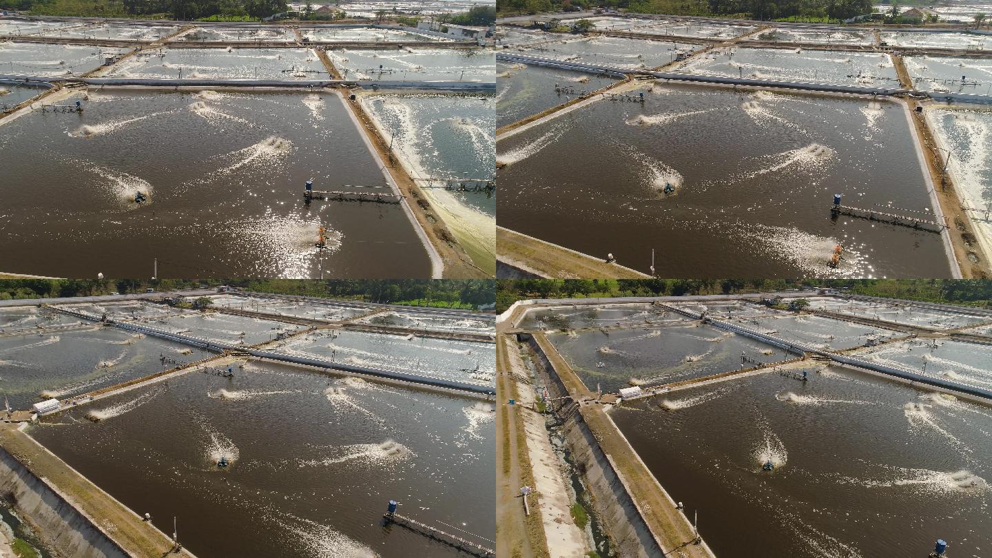 碧波之上 渔歌悠扬——航拍淡水养殖基地的壮美画卷