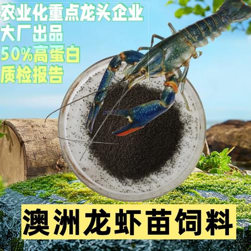 澳洲淡水龙虾苗饲料开口料工厂化养殖专用下沉颗粒虾料虾粮不浑水